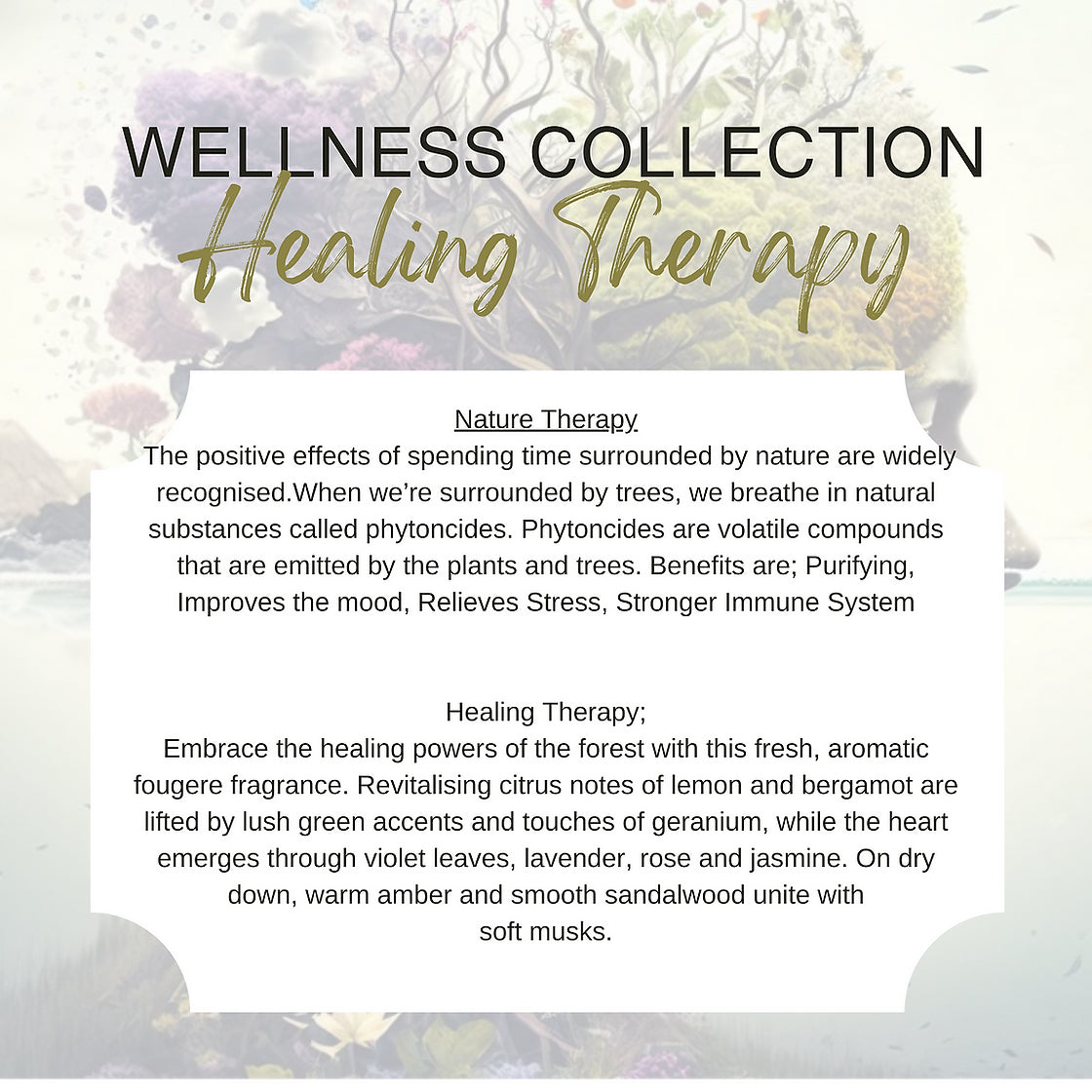 Healing Therapy Exfoliating Soap Sponge