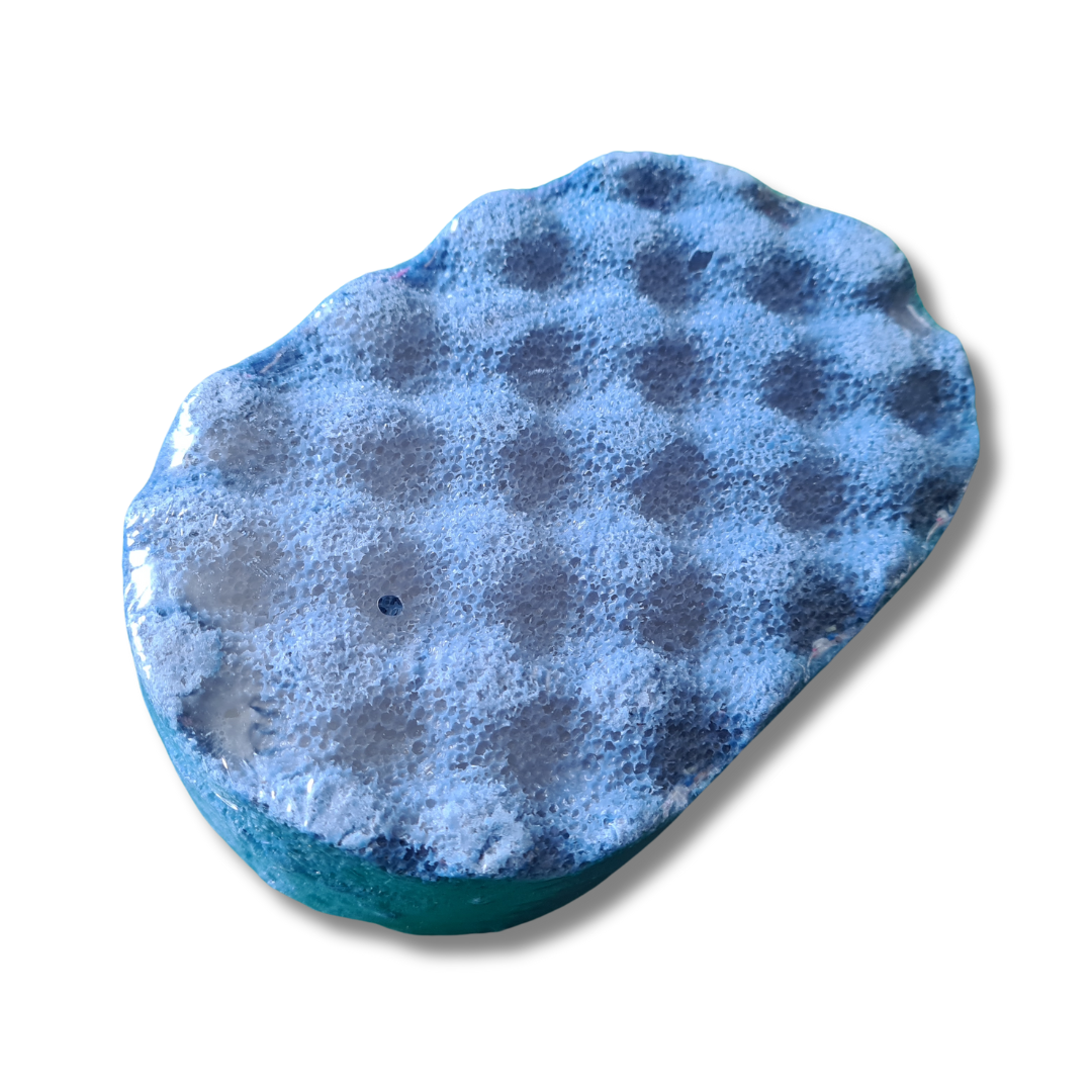 Blue Fir Exfoliating Soap Sponge
