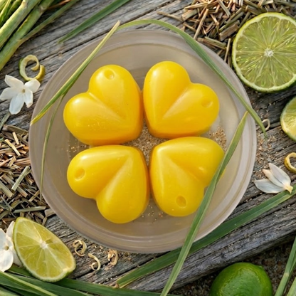 Citronella Wax Melts