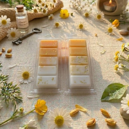 Dayzee Wax Melts