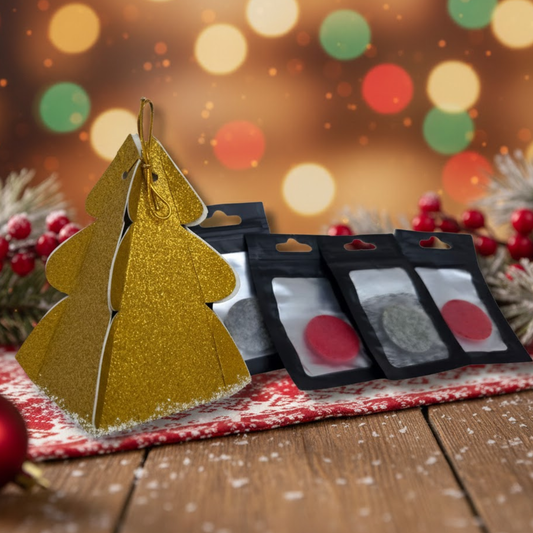 Single Hoover Disc Christmas Gift Set