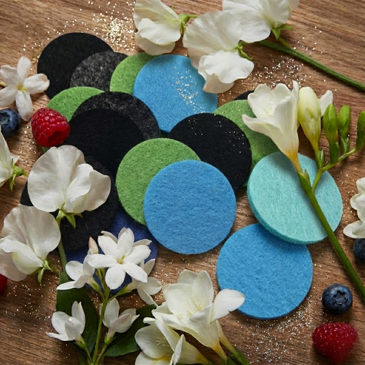 Luna Hoover Discs