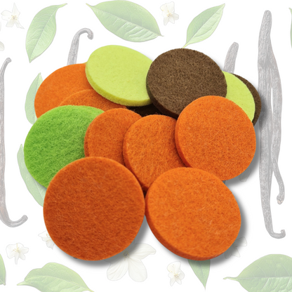 Vanilla Hoover Discs