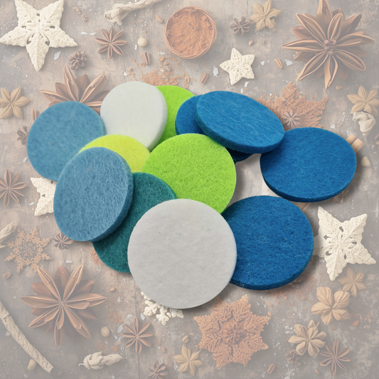 Winter Spice Hoover Discs