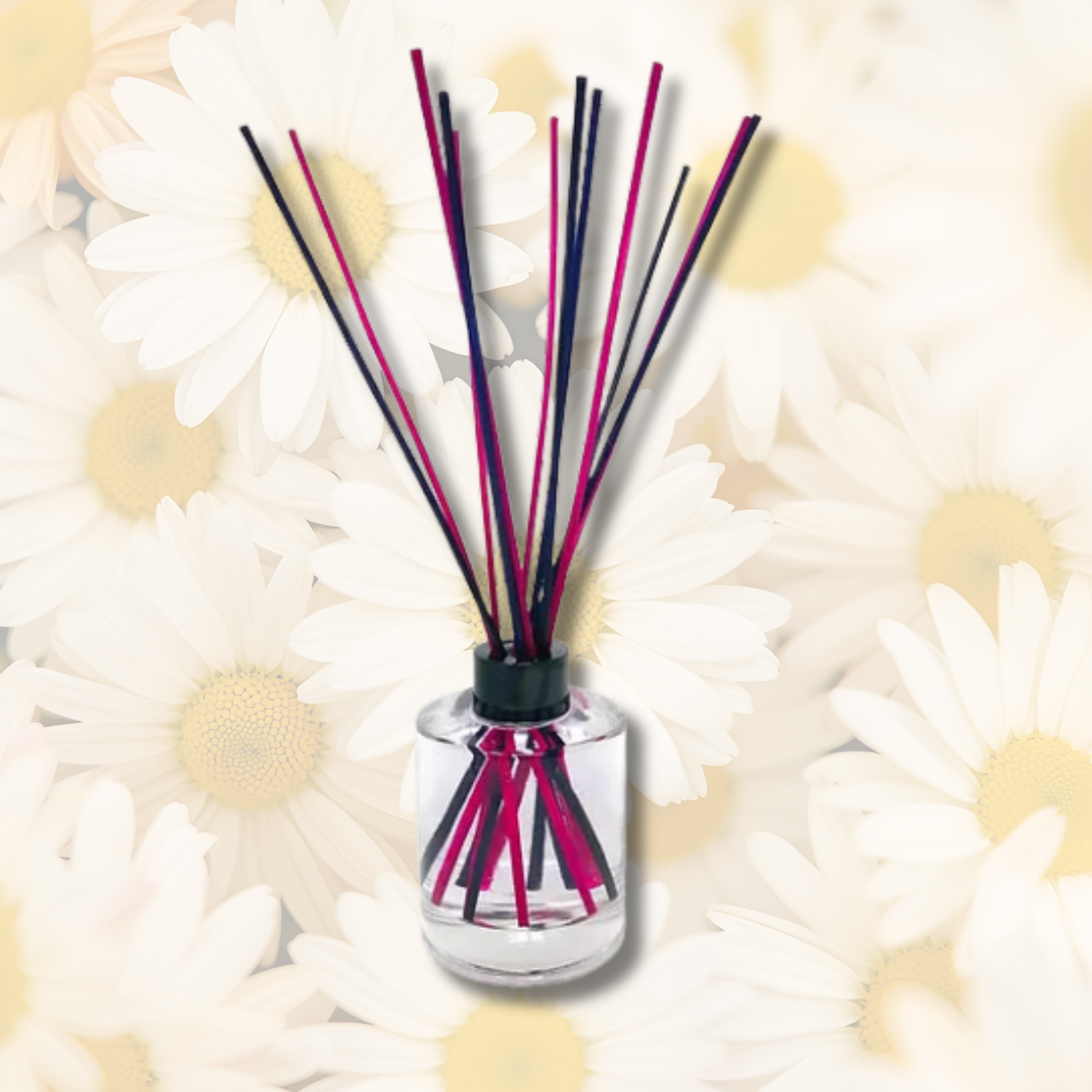 Dayzee Reed Diffuser