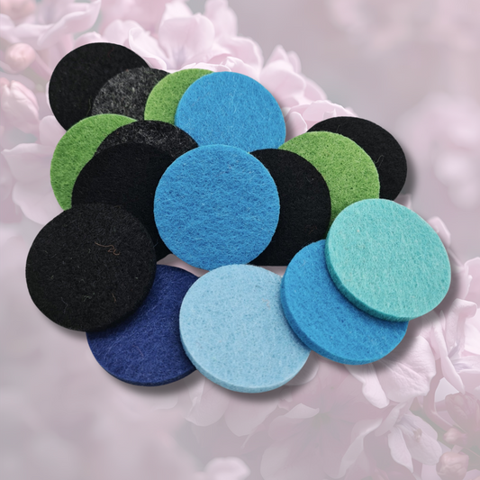 Guilty Woman Hoover Discs