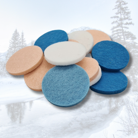 Walking in a Winter Wonderland Hoover Discs