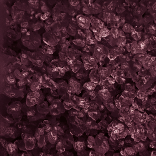 Diptea-Q Philosykos Sizzlers