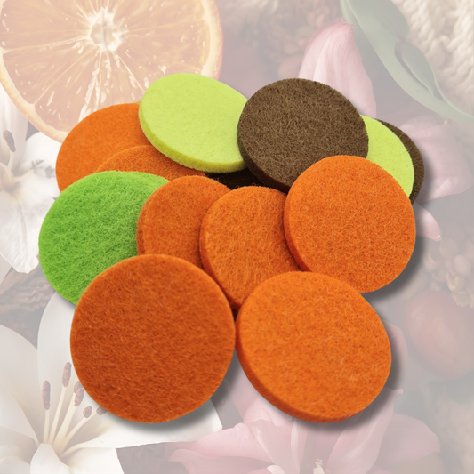 SIE Lady Hoover Discs