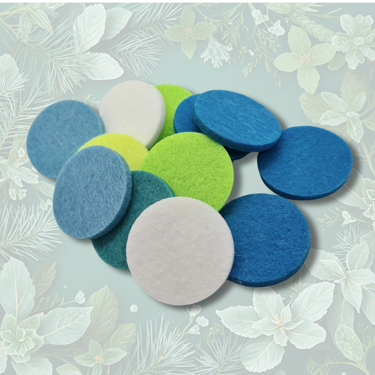 Spruce & Peppermint Hoover Discs