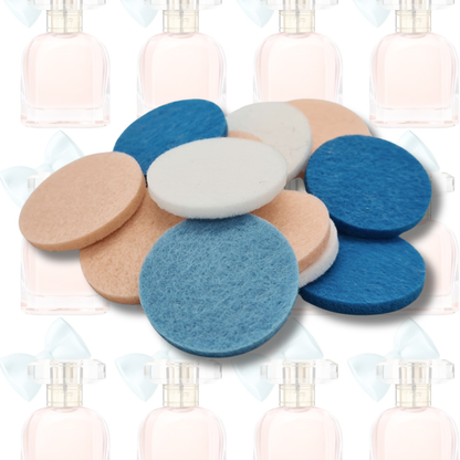 Perfection Hoover Discs