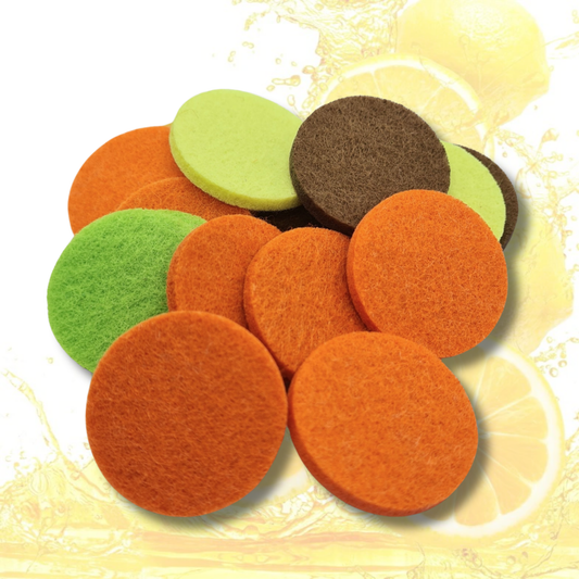 Odouraze Lemon Fresh Hoover Discs