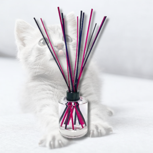 Odouraze Cutie Paws Reed Diffuser