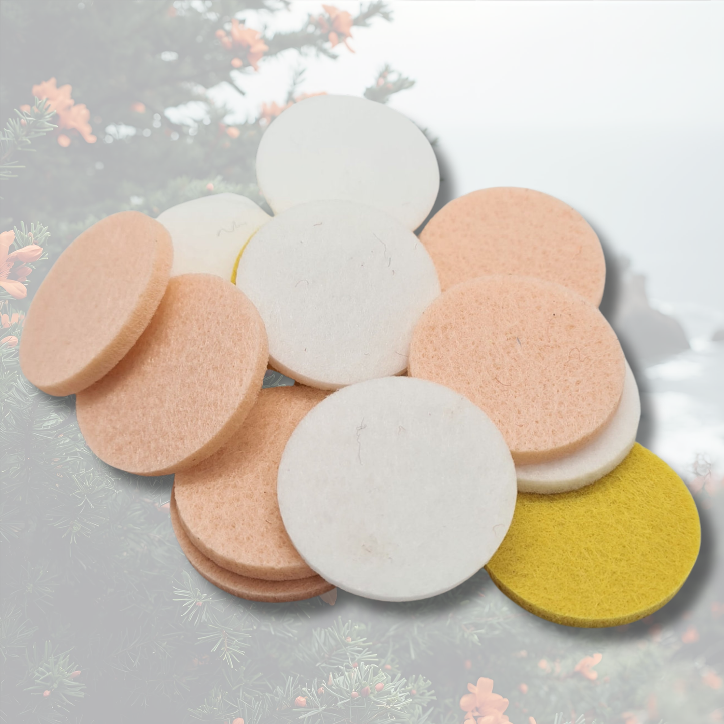 Lenora Vacation Vibes Hoover Discs