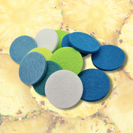 Pineapple Hoover Discs