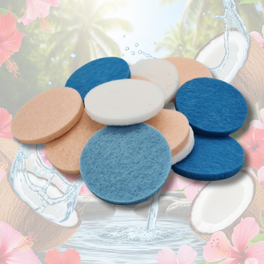 Hibiscus & Coconut Water Hoover Discs