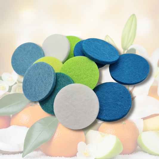 Spanish Cleaning De Tahiti Hoover Discs