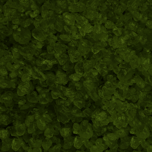 Fantastic Fall Sizzlers