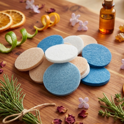 Spanish Cleaning Sauvizante Spa Hoover Discs