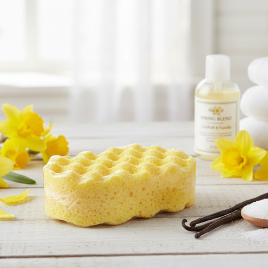 Lenora Daffodil & Vanilla Exfoliating Soap Sponge