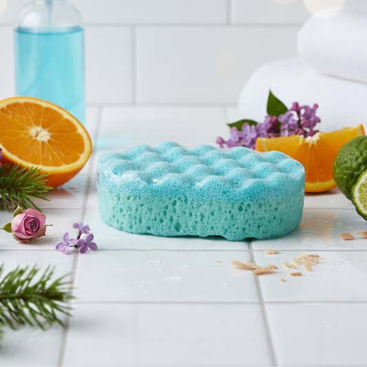 Sauvizante Spa Spanish Cleaning Exfoliating Soap Sponge