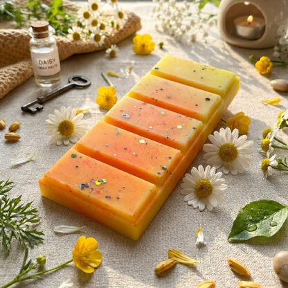 Dayzee Wax Melts