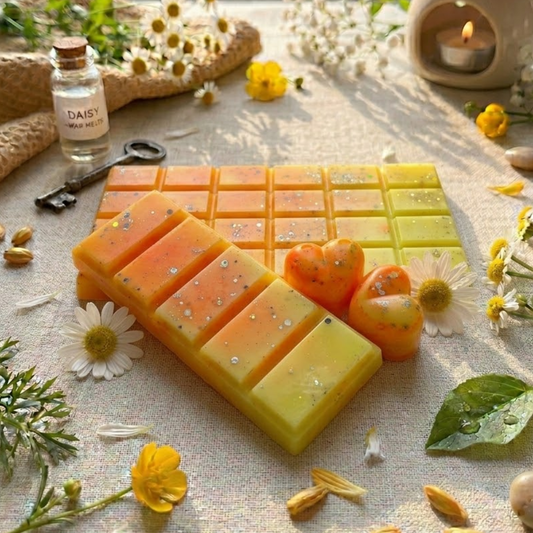 Dayzee Wax Melts