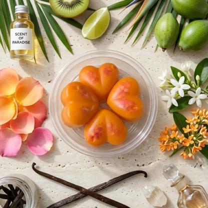 Lenora Tropical Sunset Wax Melts